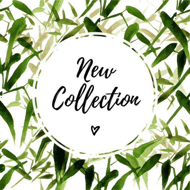 Neuer Katalog-New Collection